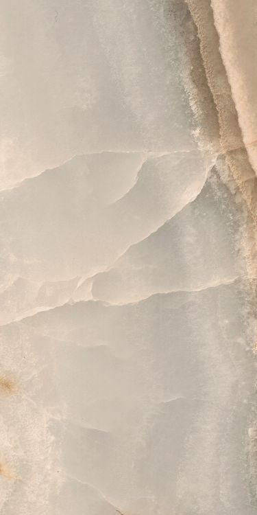 Reves Noisette Matte 12 x 24